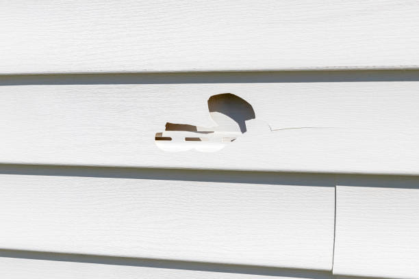 Best Insulated Siding Installation  in Sandy Valley, NV